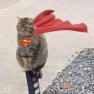 Meet your Posher, Mary